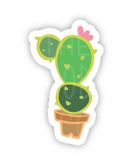 Cute Cactus